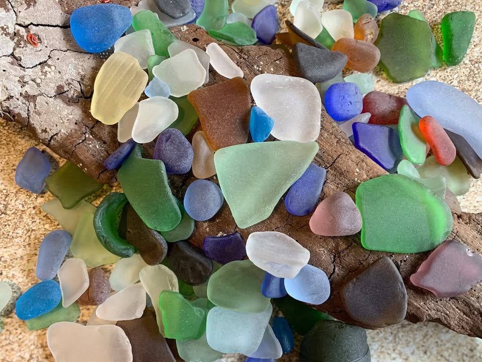 Mixed Size Florida Sea Glass